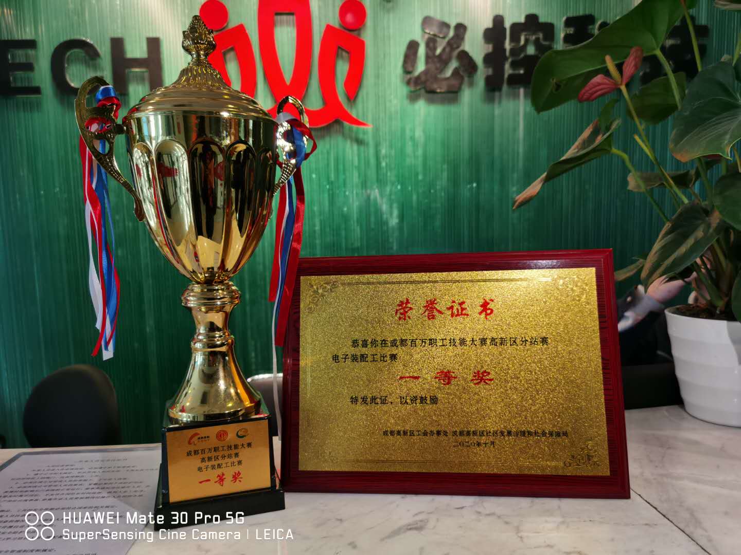 Z6·尊龙「中国」官方网站